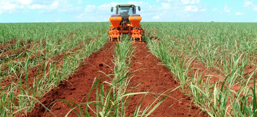 quebra-lombo com herbicida