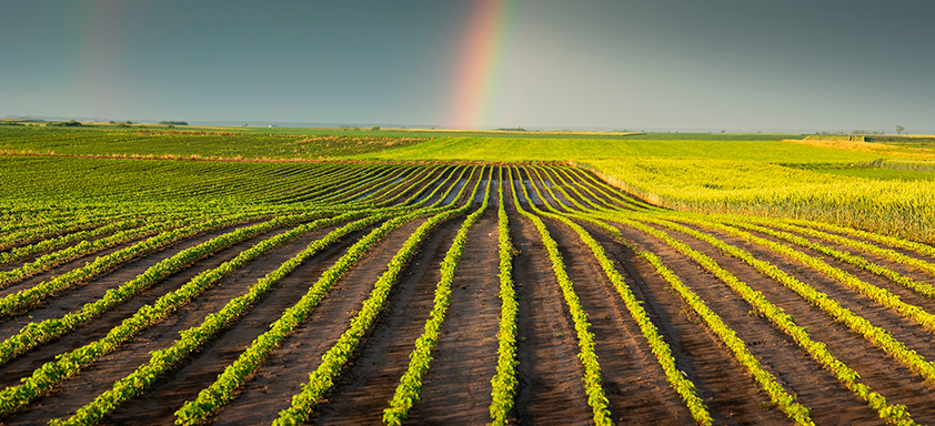 previsao do tempo safra 2023/24