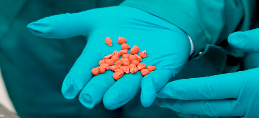 tratamento de sementes milho