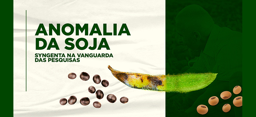 anomalia da soja