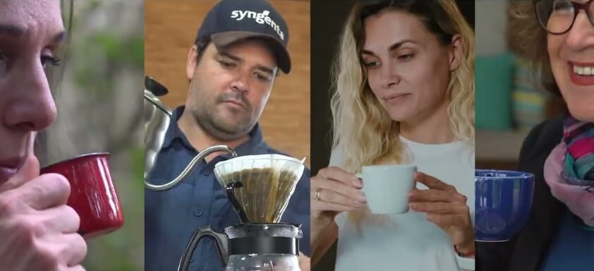 Produtores tomando café