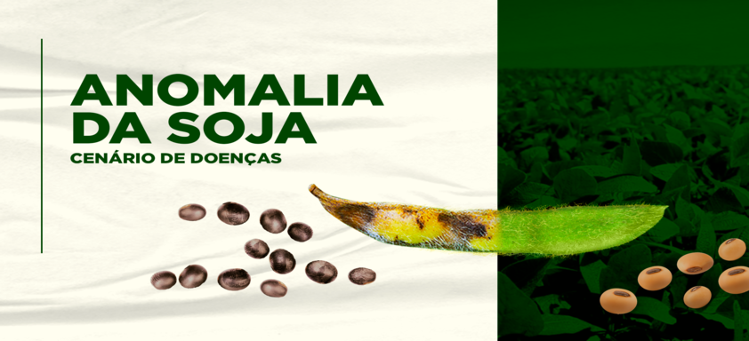 anomalia da soja