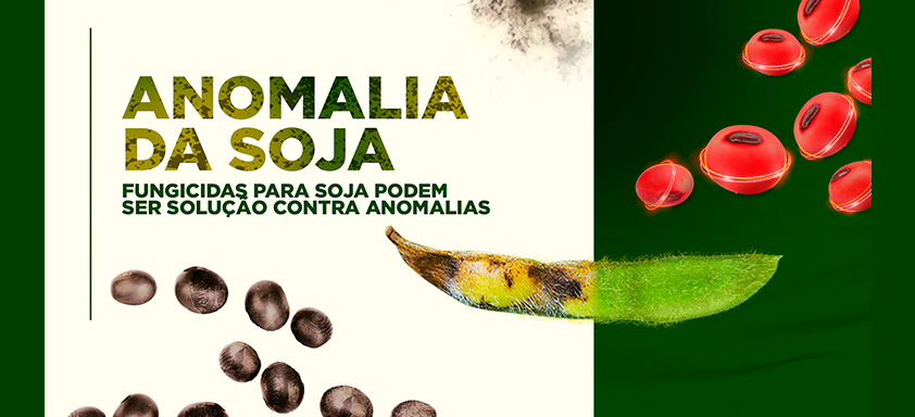anomalia da soja