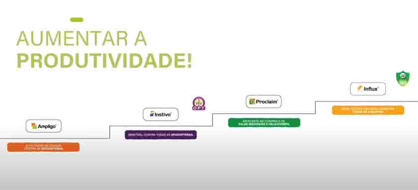 Organograma colorido com o letreiro "Aumentar a produtividade!"