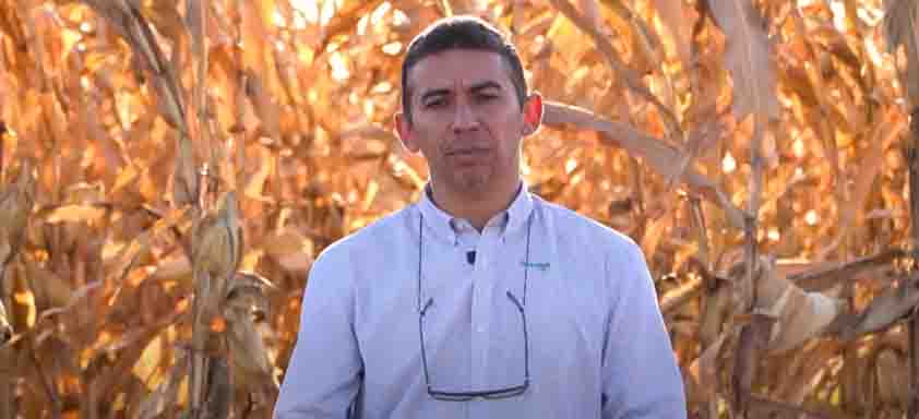 Pesquisador Desafios Agro, Germison Tomquelski, aparece em frente a uma plantação de soja e milho