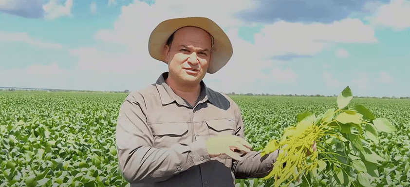 Lucas Navarini, com plantação de soja ao fundo