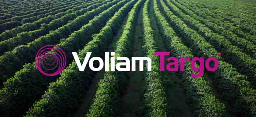 Grande plantio, símbolo de círculo rosa e letreiro "Voliam Targo"