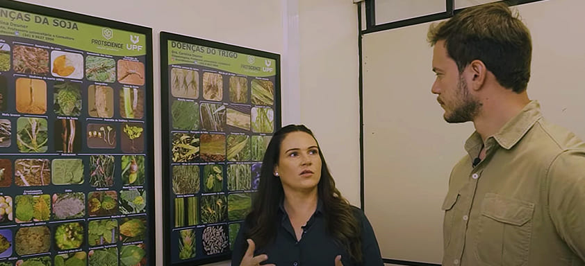 Professora e pesquisadora fitopatologista Carolina Deuner