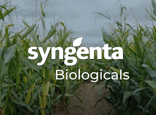 Syngenta Biologicals