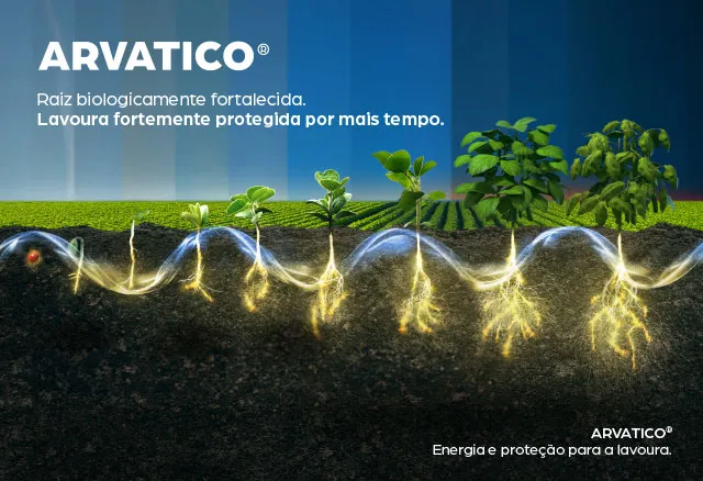 Arvatico