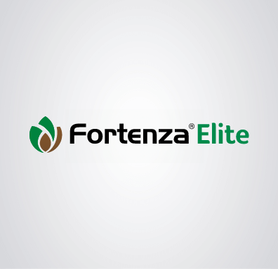 logo Fortenza Elite