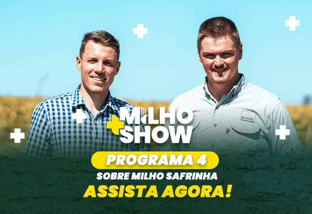 Show Milho