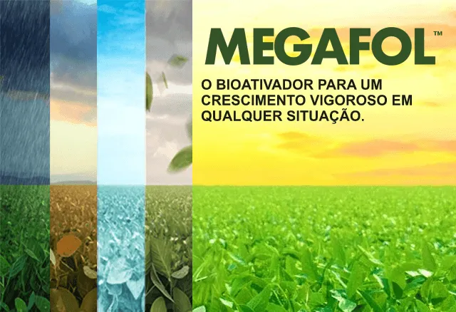 Megafol