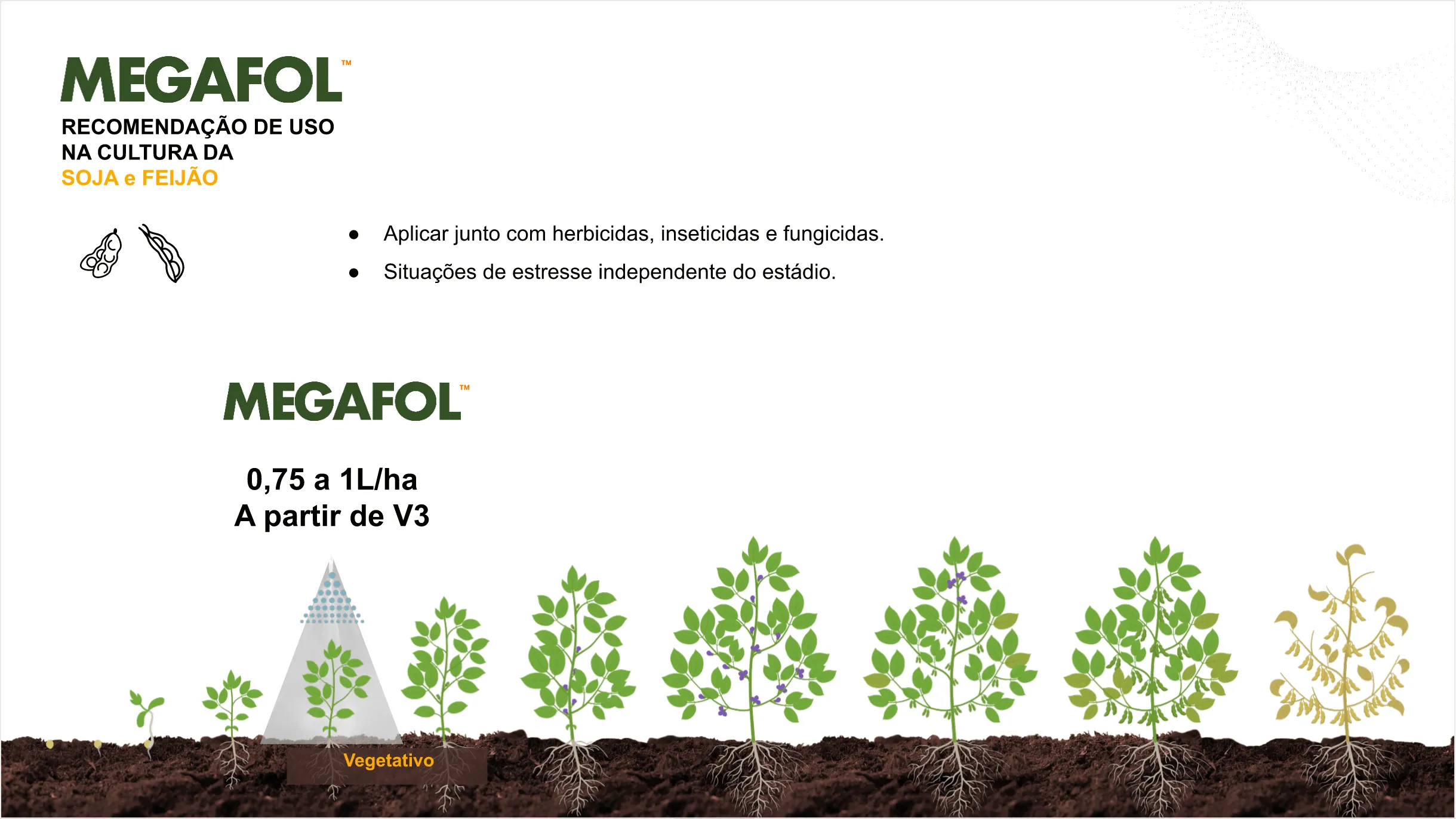 Posicionamento do produto na cultura do milho.