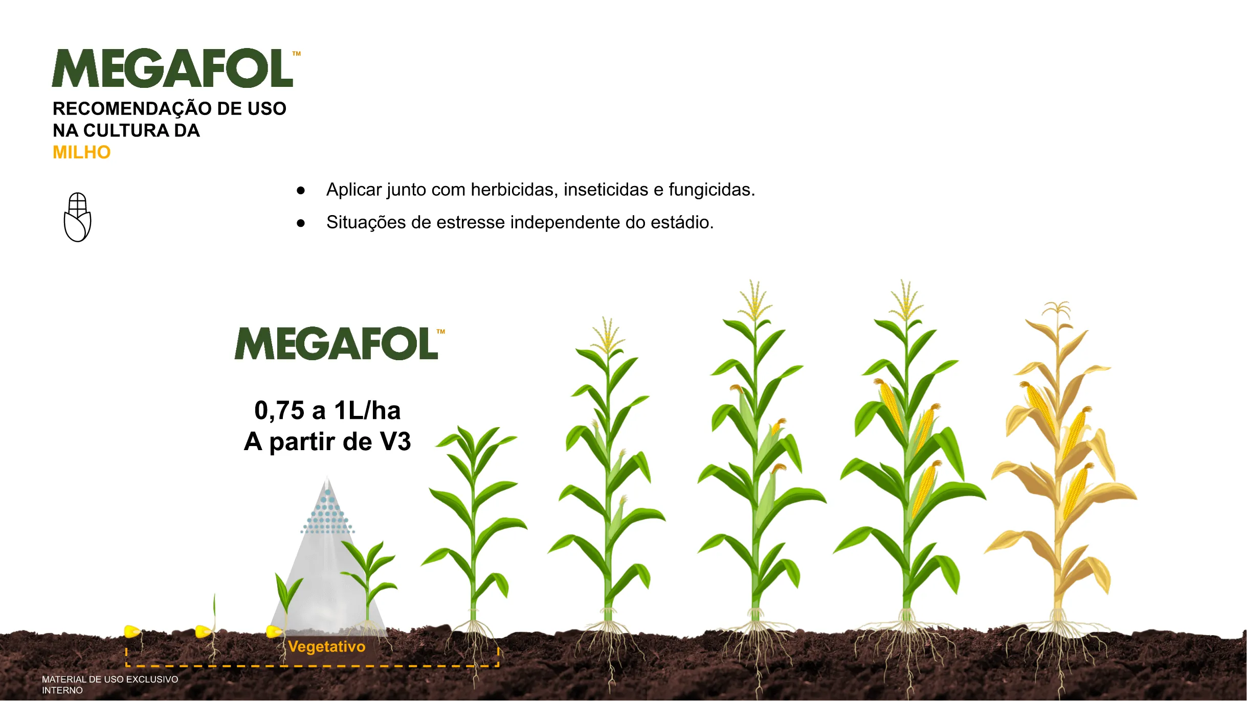 Posicionamento do produto na cultura do milho.