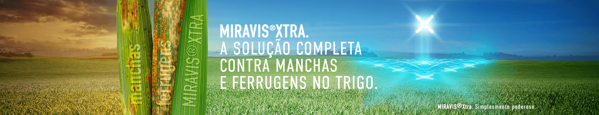 banner miravis