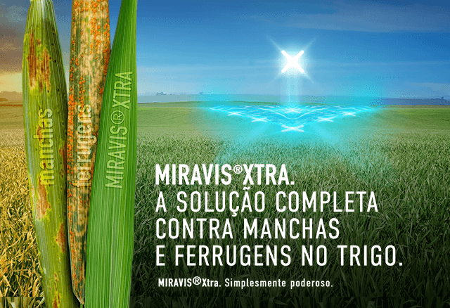 banner miravis