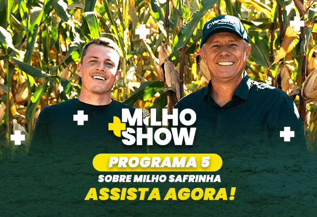 Milho show