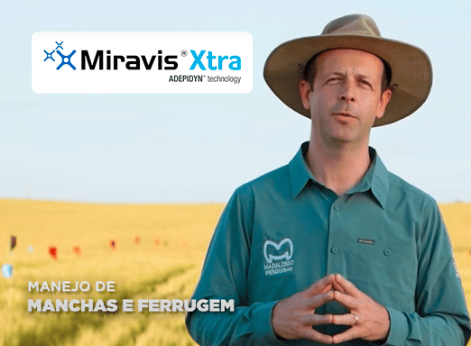 Marcelo Madalosso fala de Miravis Xtra Trigo