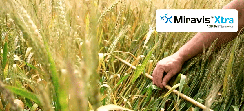 Sênio Prestes fala sobre Miravis Xtra e o resultado no campo