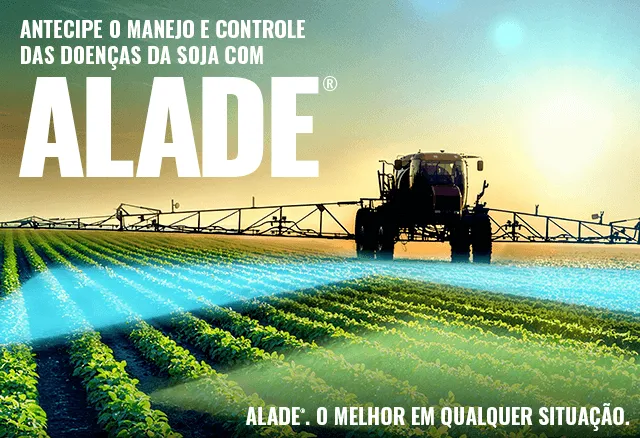Um é bom. Dois é ótimo. Três é Alade.