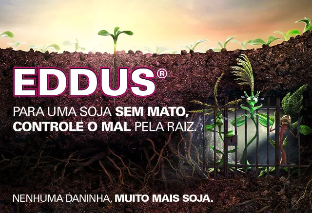 Eddus