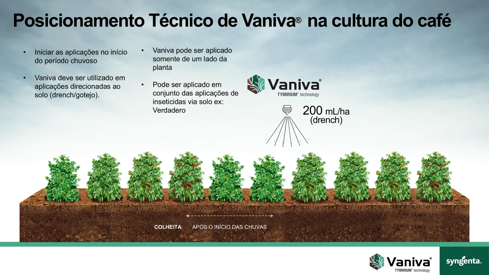 posicionamento