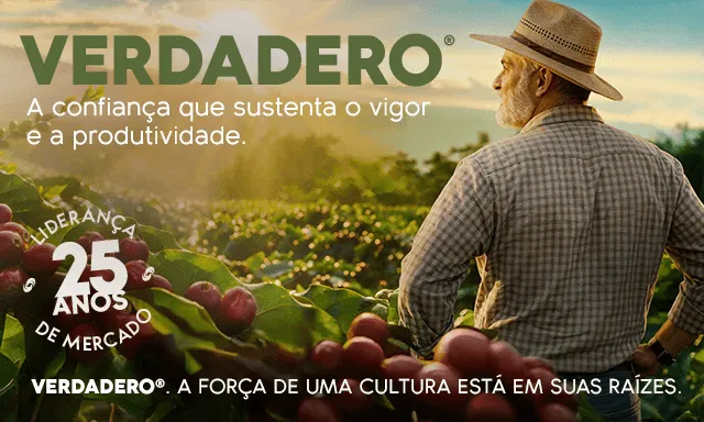 Verdadero
