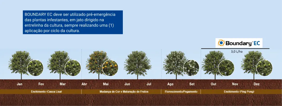 Posicionamento Boundary Citros