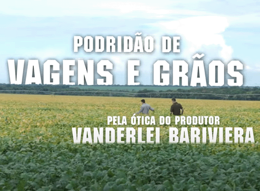 Podridão de Vagens e Grãos