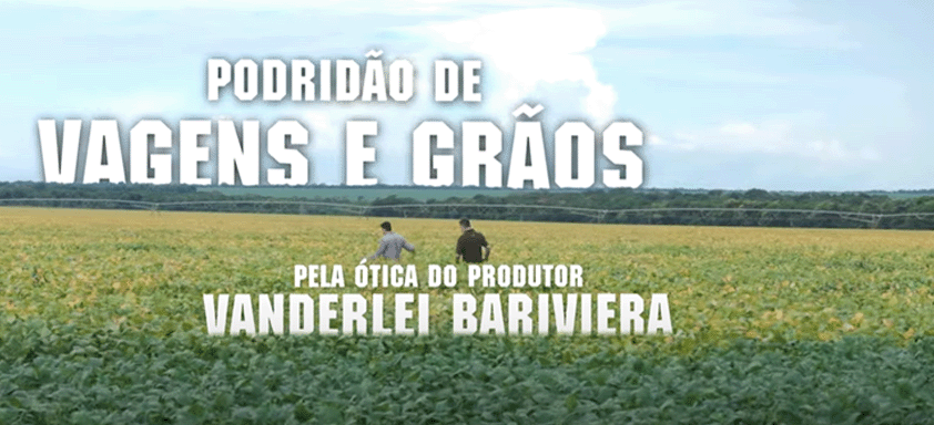 Podridão de Vagens e Grãos