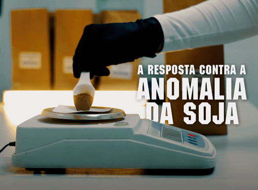 A resposta contra a anomalia da soja