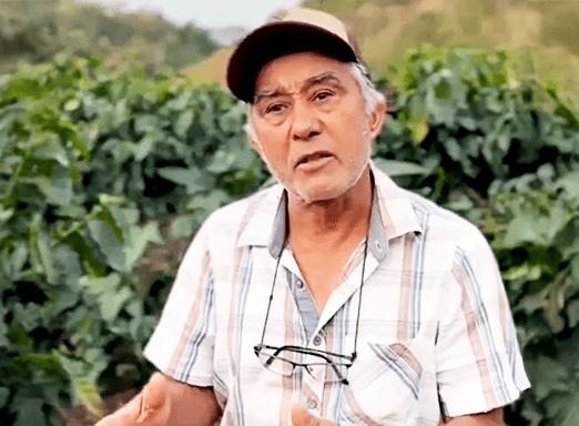 Café forte começa no solo com VERDADERO® | Confira o depoimento do produtor Raimundo Soares