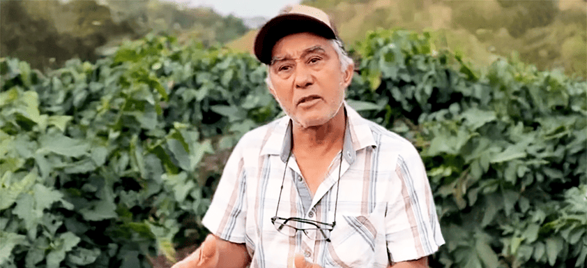 Café forte começa no solo com VERDADERO® | Confira o depoimento do produtor Raimundo Soares
