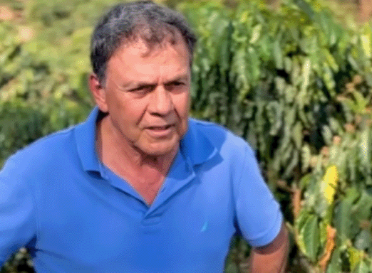 VERDADERO®| Do solo à xícara: café com mais vigor e produtividade