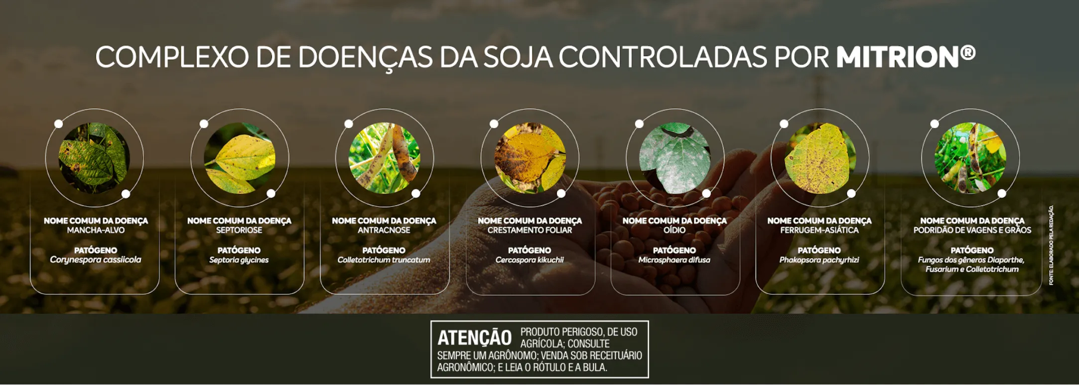 Complexo de doenças da soja