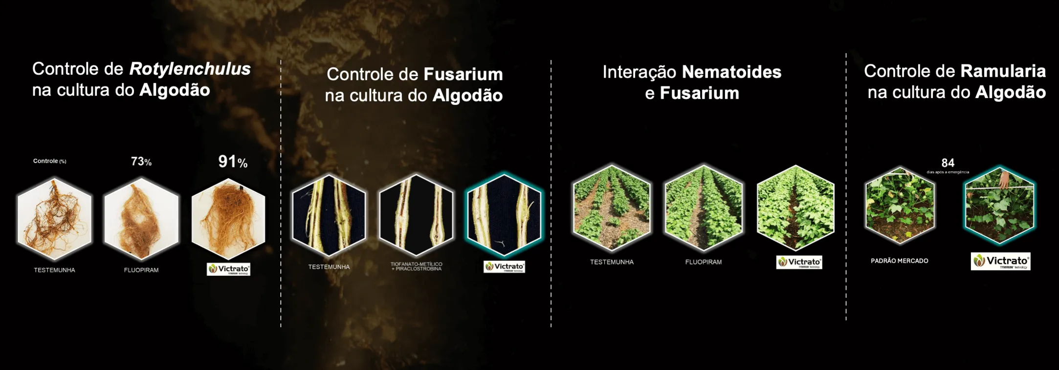 Múltiplas funcionalidades