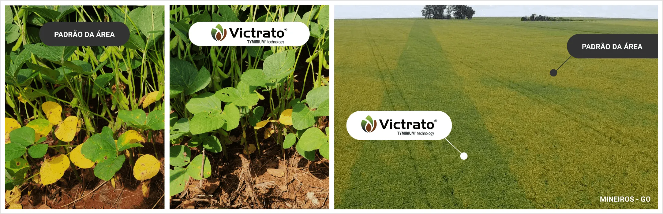 Sobre o produto Alade.