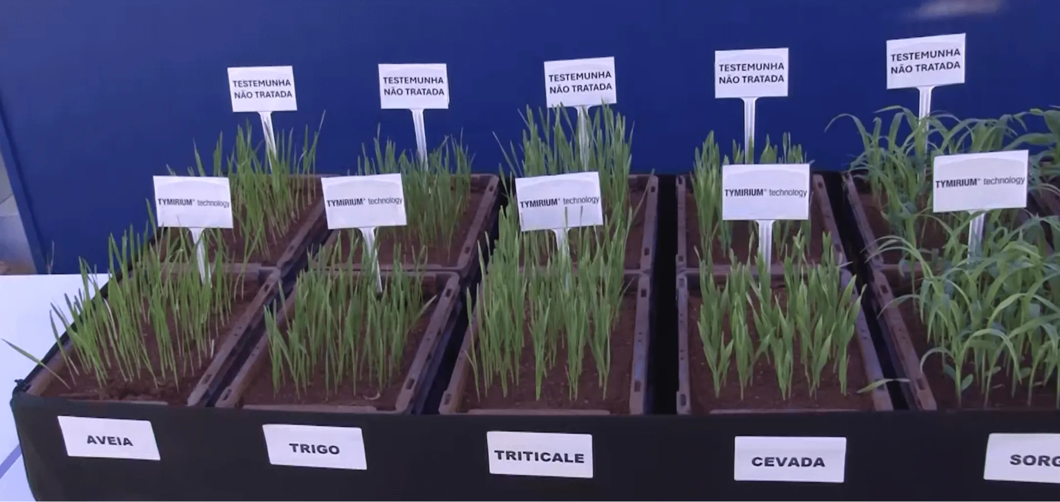 Sobre o produto Alade.