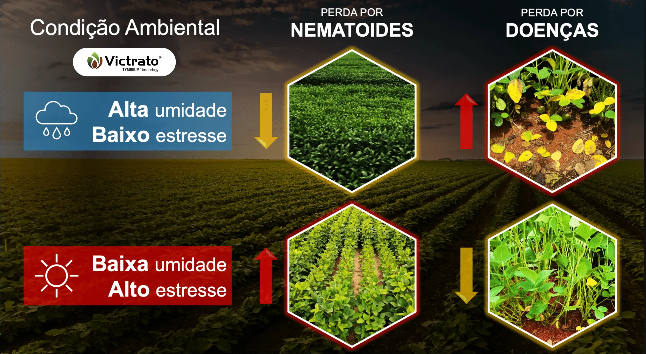 Sobre o produto Alade.