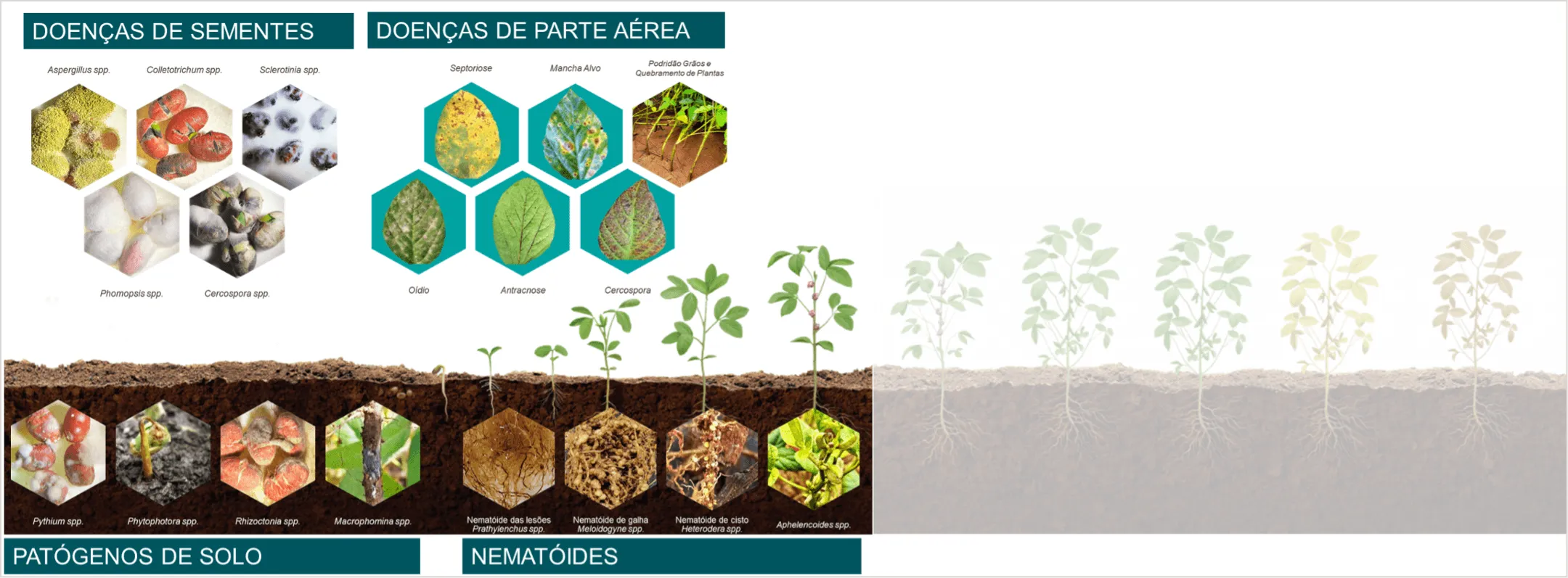 Múltiplas funcionalidades