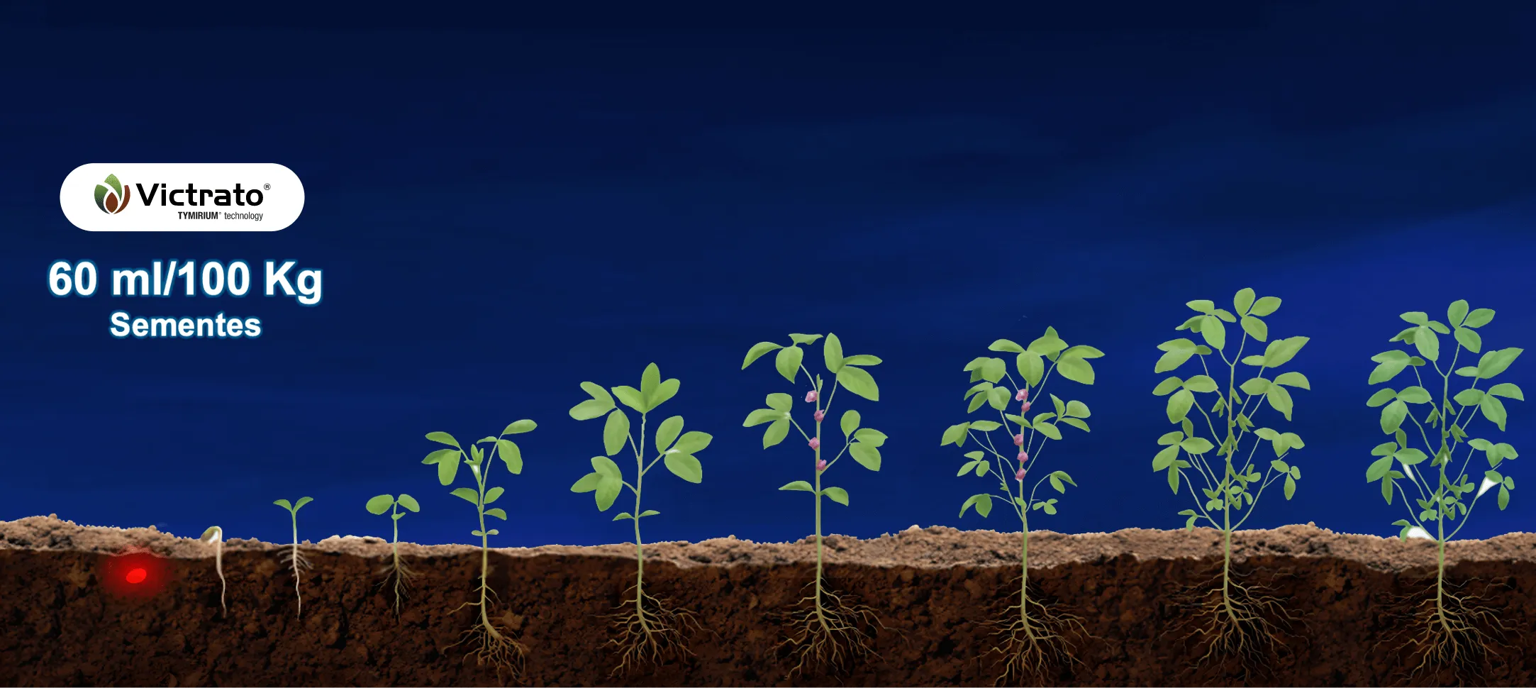 Múltiplas funcionalidades