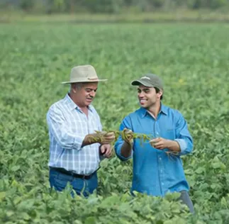 Plataforma Acessa Agro