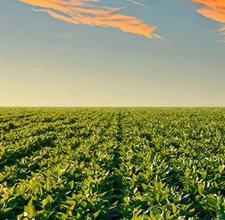 Plataforma Acessa Agro