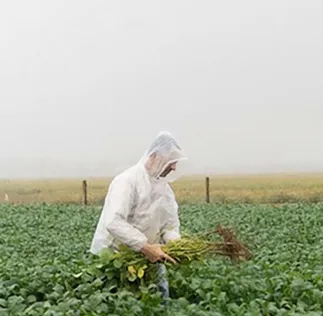 Plataforma Acessa Agro