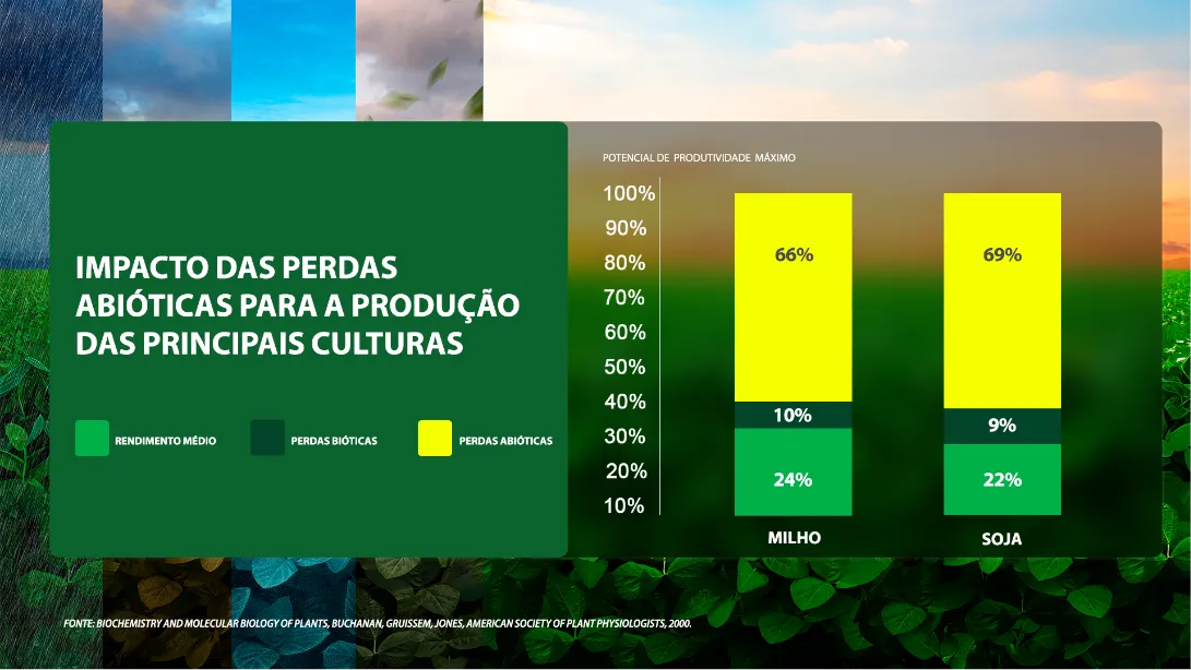 Estresse em plantas: um desafio que mina a produtividade das lavouras