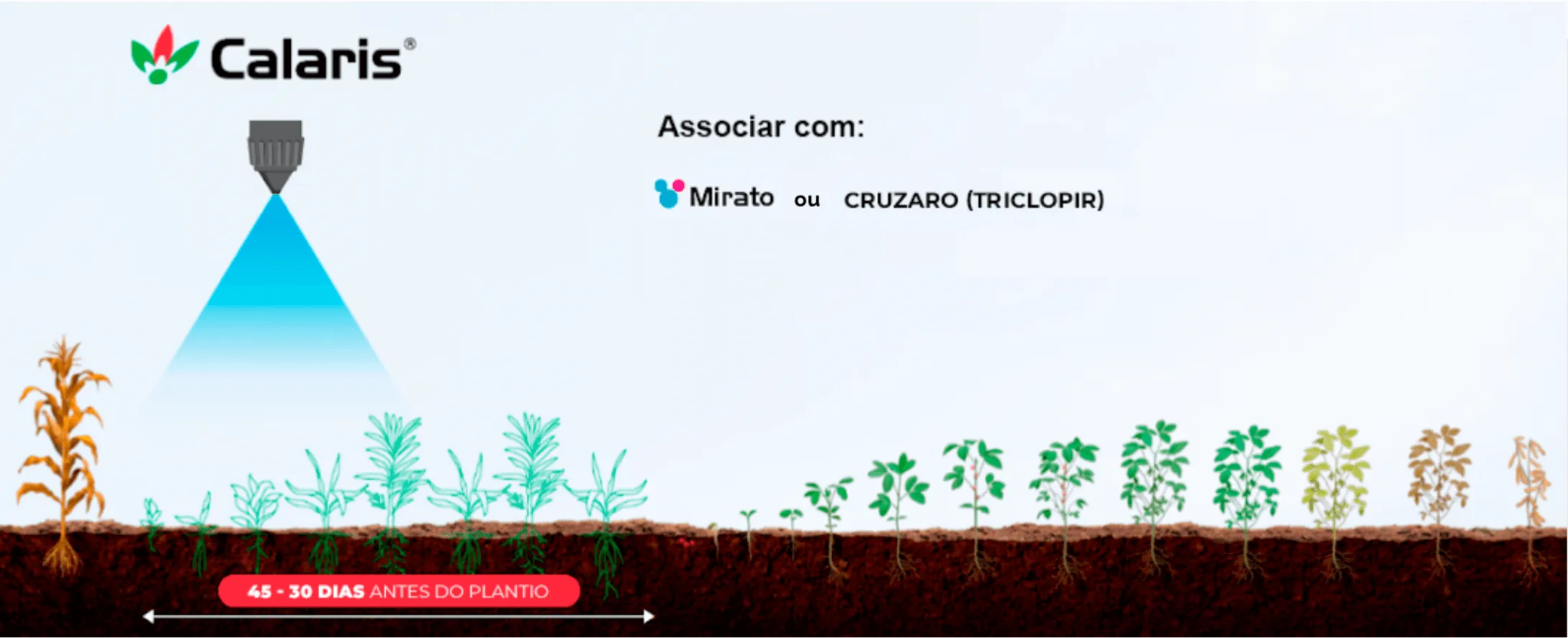 Benefícios do herbicida Calaris