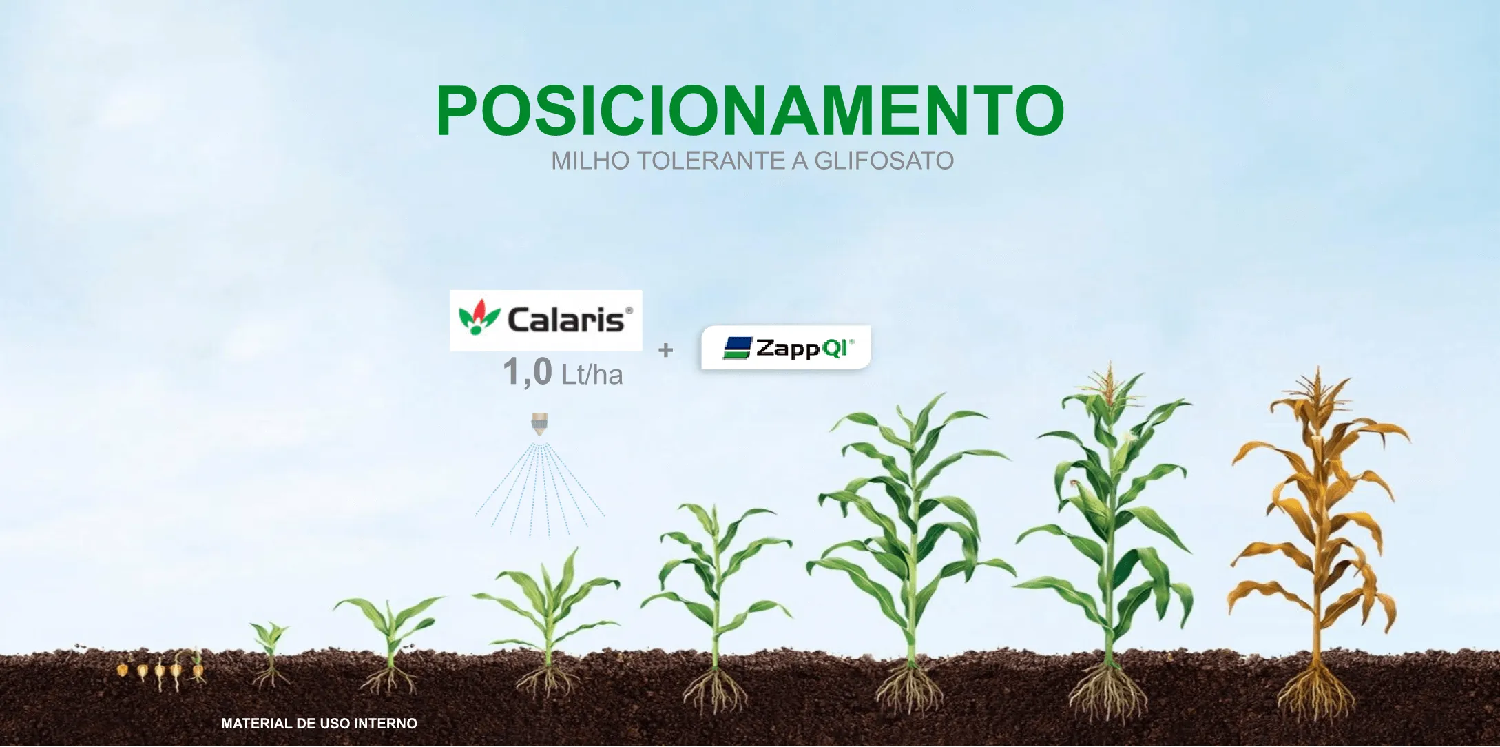 Benefícios do herbicida Calaris