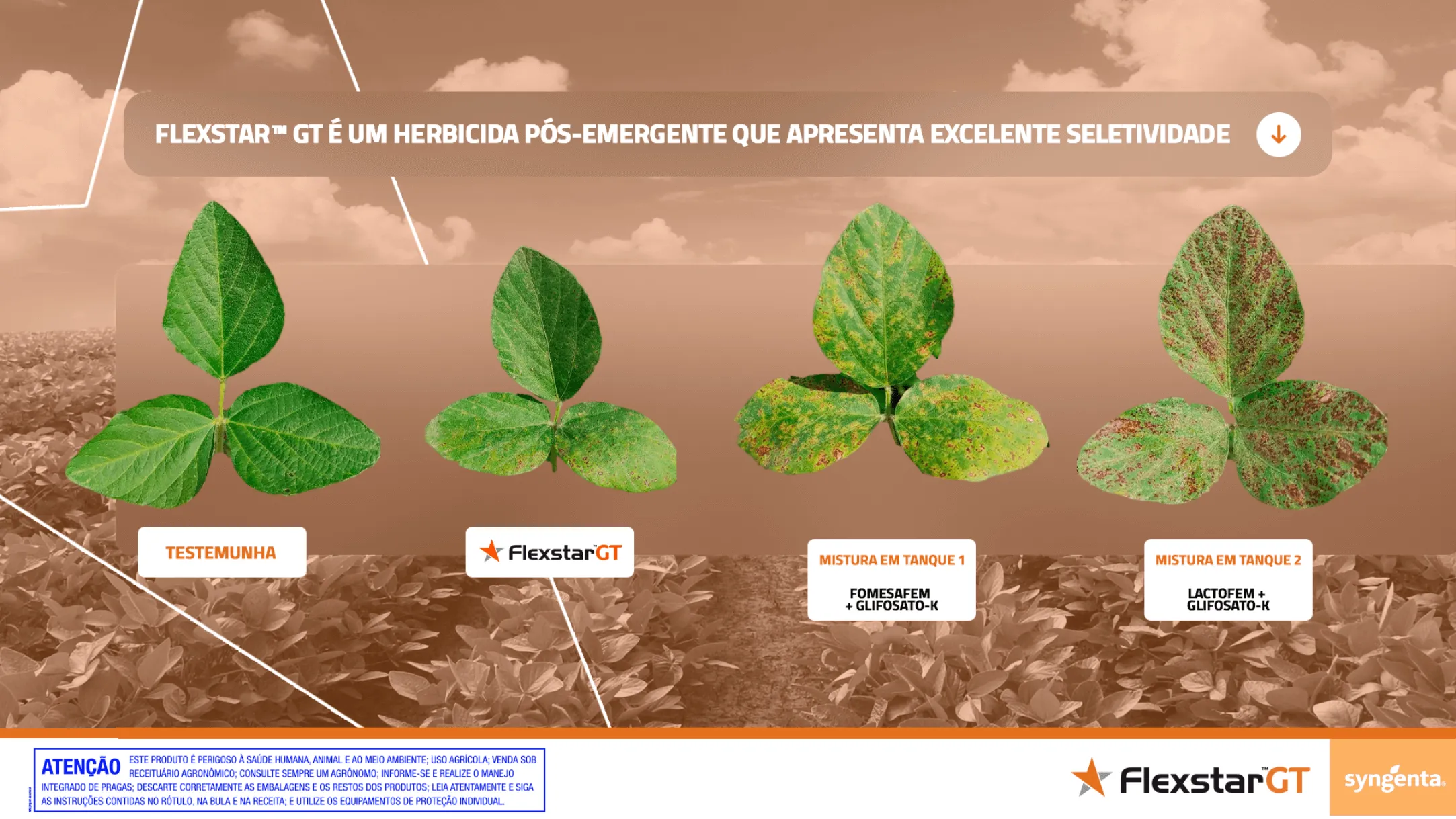 Controle da ferrugem