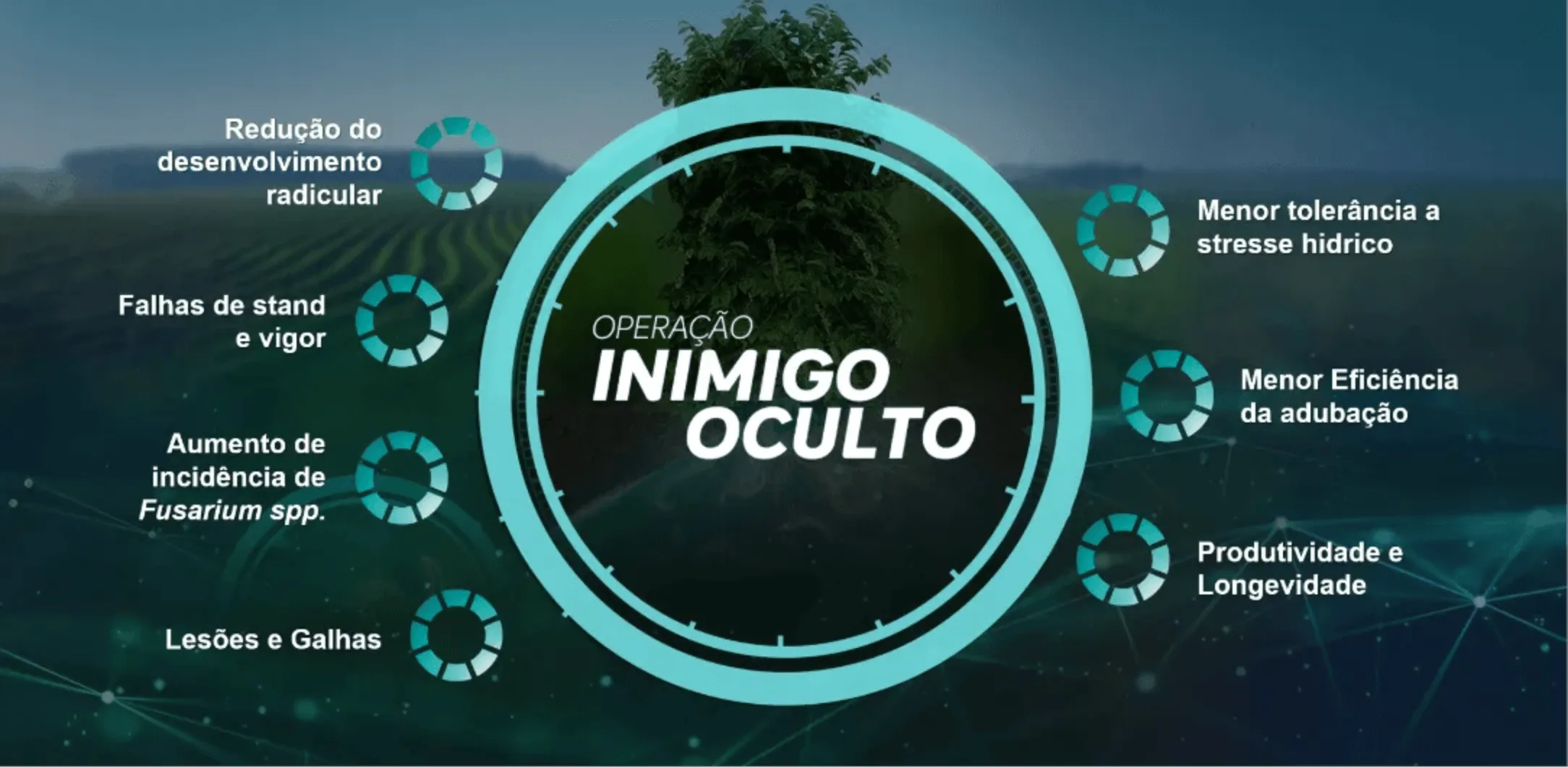 Sobre o produto Alade.